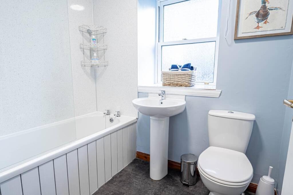 Cozy Newly Renovated Town Centre Apartment 애버펠디 외부 사진