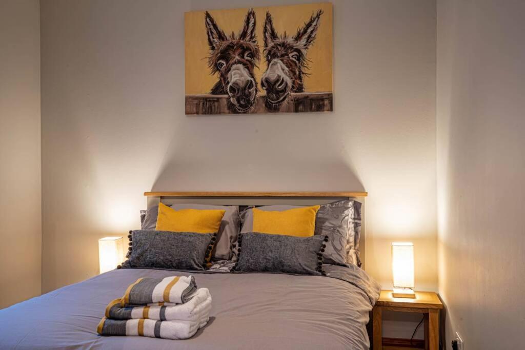 Cozy Newly Renovated Town Centre Apartment 애버펠디 외부 사진